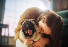 Saiba quais são as 10 raças de cachorros ideais para apartamento