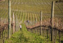 Viva o Rio Grande do Sul!