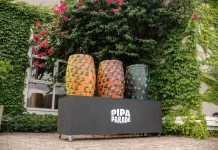 Pipa Parade Festival terá gastronomia, arte e tradições italianas em Bento Gonçalves